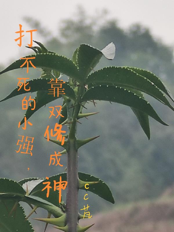 The invincible Xiaoqiang became a god through dual cultivation