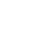 Rapidnovel